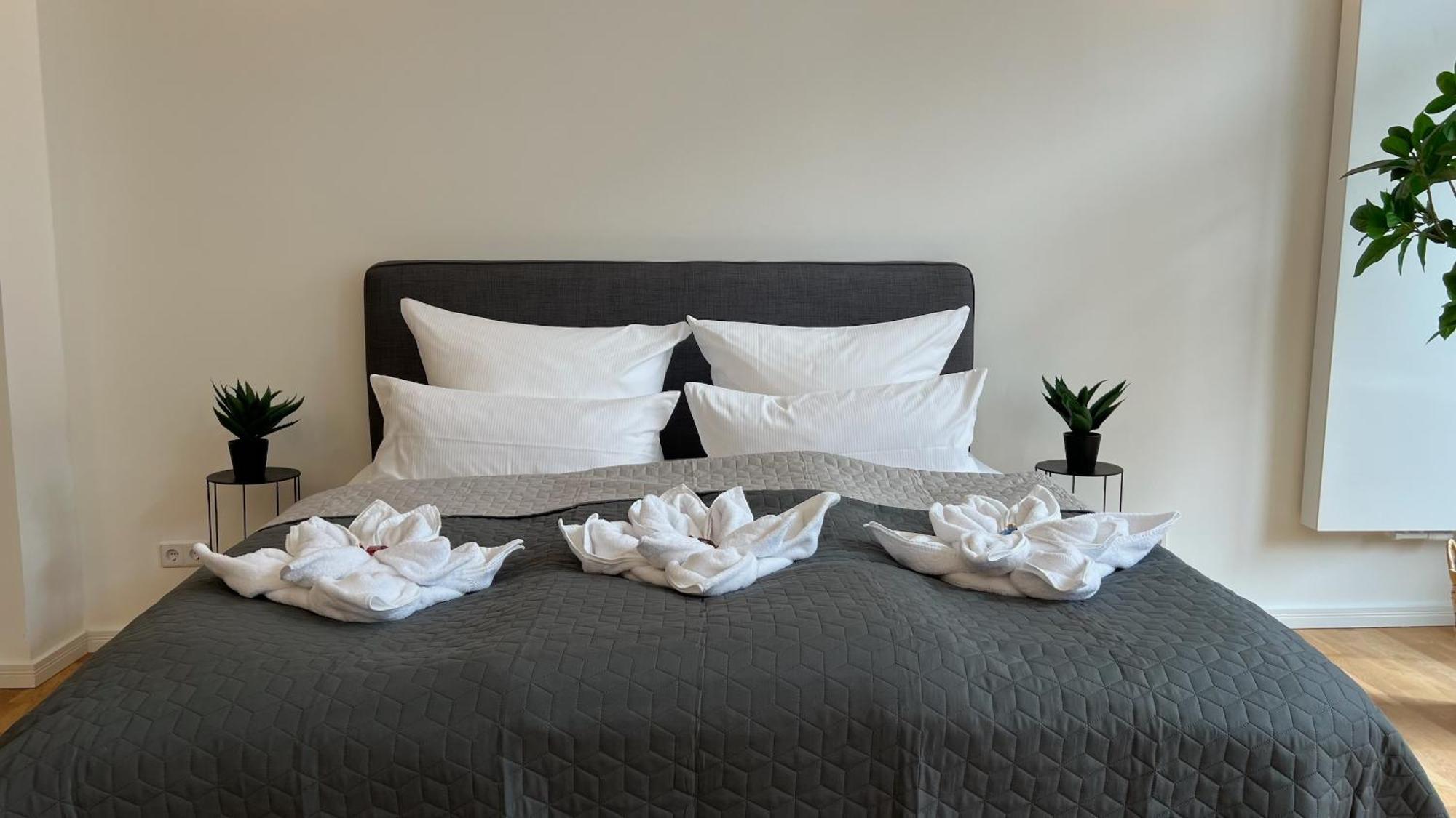 Neu! City-Loft-Apartment Im Goethe Palais I 5P I Lift I Parkplatz I Zentrum I Helios Aue  Esterno foto